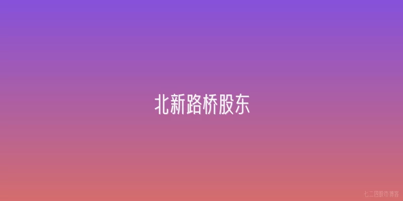 北新路桥股东